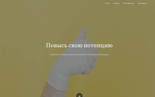 Montra da Профессионализм мирового уровня — Сайт вашего дела