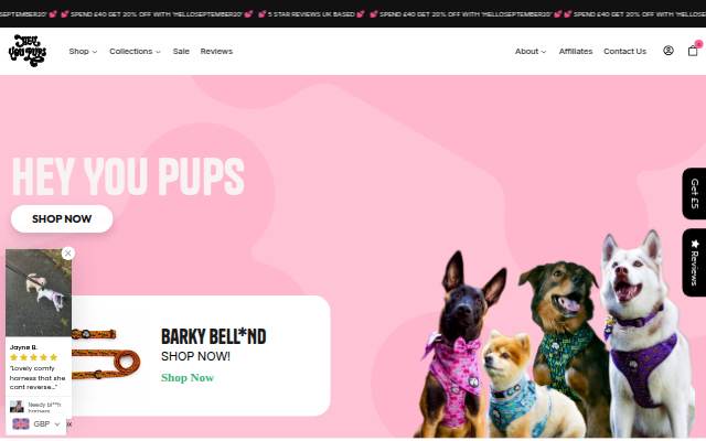Hey You Pups: Fun and honest dog accessories! storefront