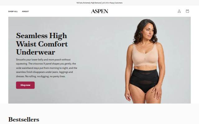 Startseite von Aspen