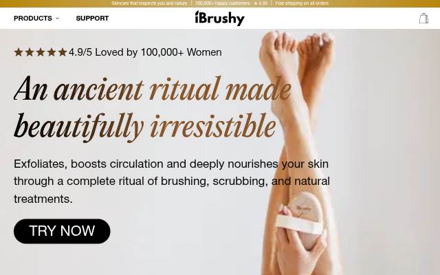 Startseite von iBrushy