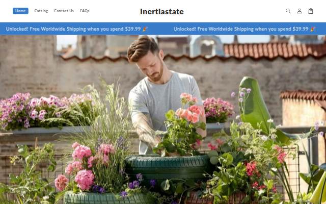 Inertiastate storefront