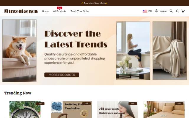 INTELLIGENCN storefront