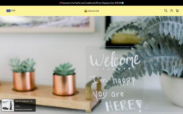 Intonsriot storefront