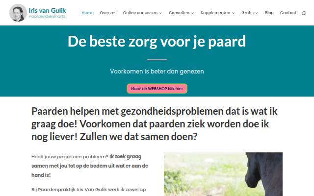 Escaparate de irisvangulik.nl