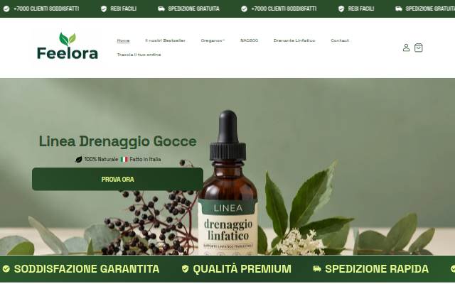 Feelora-IT storefront