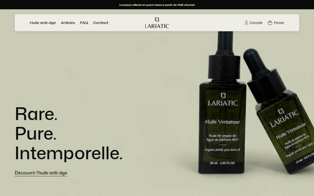 Lariatic storefront