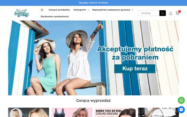 lazywing storefront
