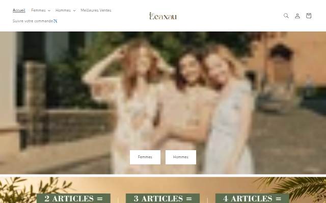 leaxau storefront