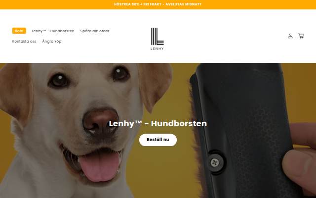 Lenhy storefront
