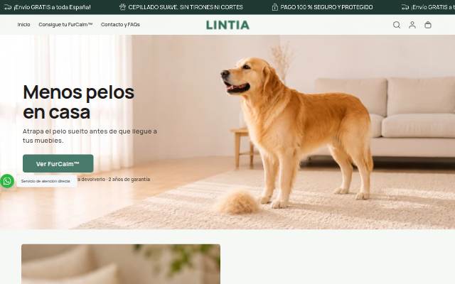 Startseite von Lintia