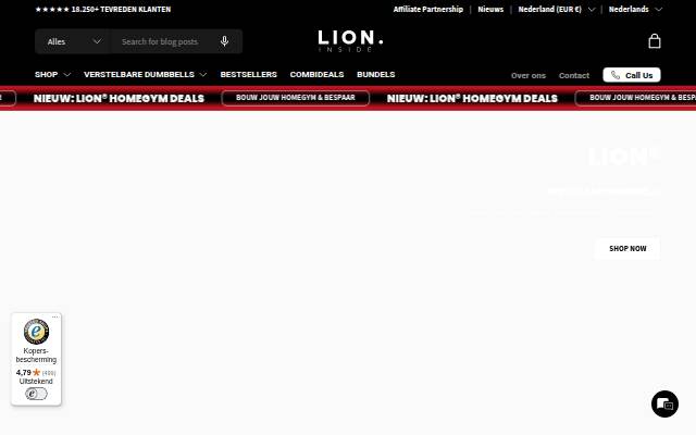 LIONINSIDE storefront