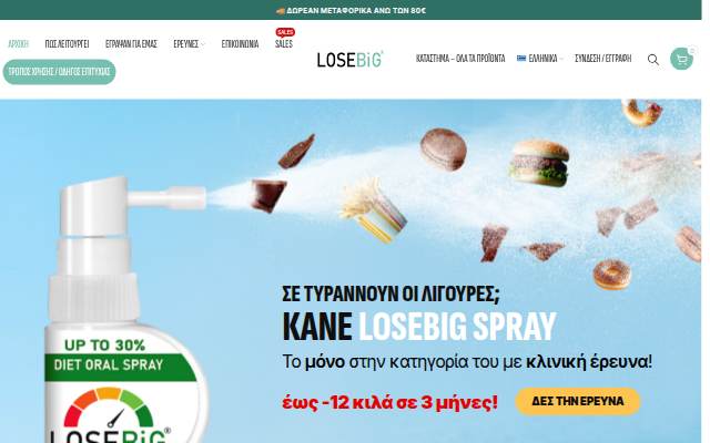 Startseite von LoseBig