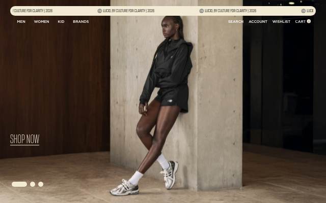 LUCID | By culture, for clarity storefront