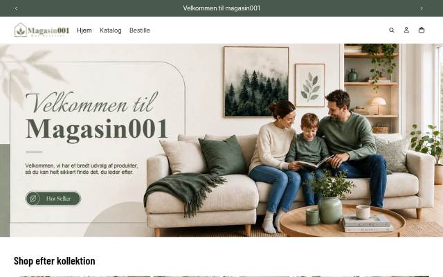 magasin001 storefront