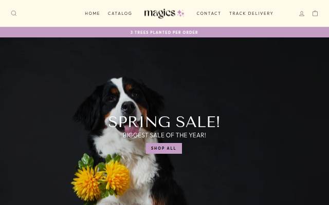 Magics® storefront