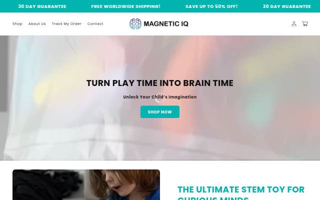 Startseite von Magnetic IQ