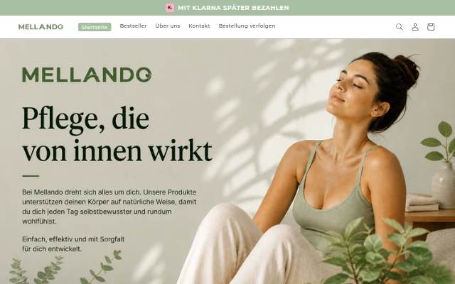 Startseite von Mellando.
