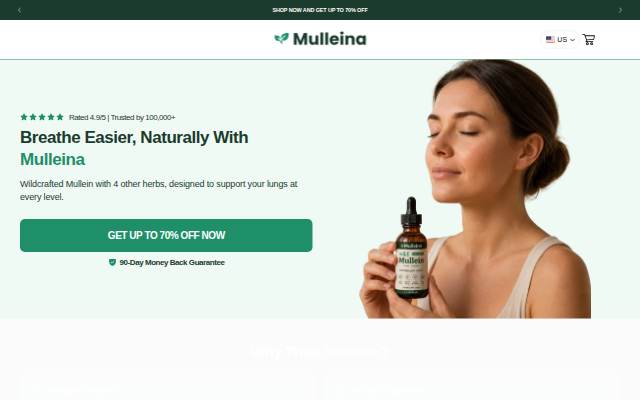 Mulleina storefront