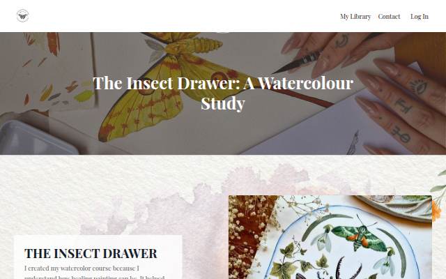 Vitrine de The Insect Drawer