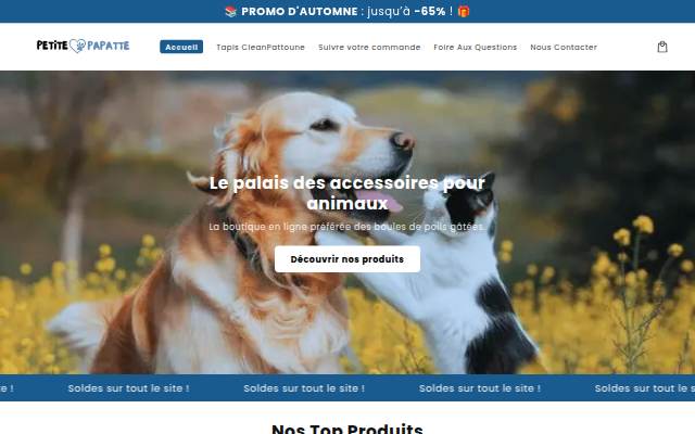Startseite von PetitePapatte