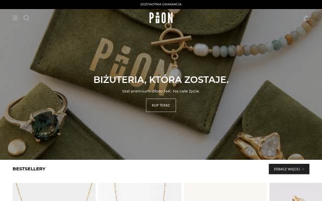 PION storefront