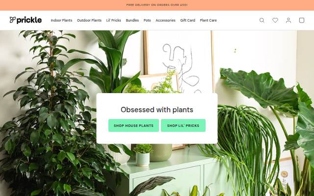 Prickle storefront