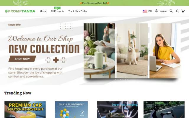 PROMPTANDA storefront