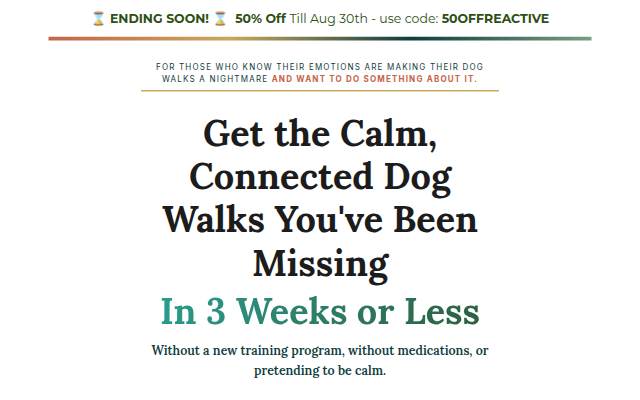 The Reactive Dog Reset storefront
