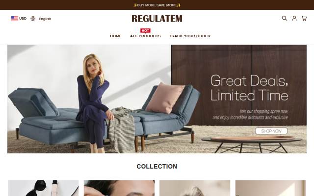 REGULATEM storefront