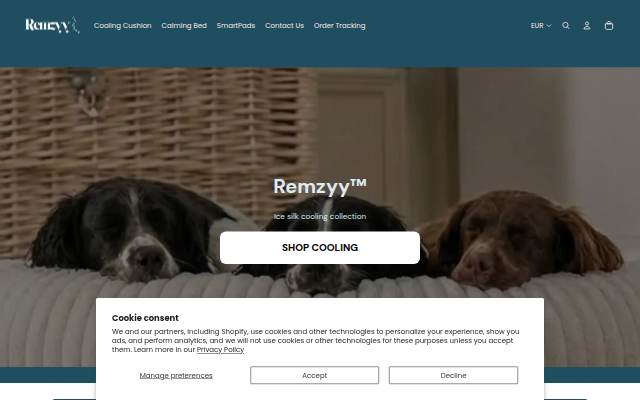 Remzyy storefront