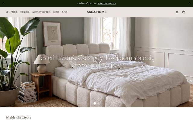 Saga Home storefront