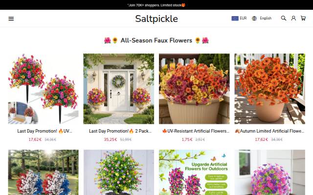 Saltpickle storefront