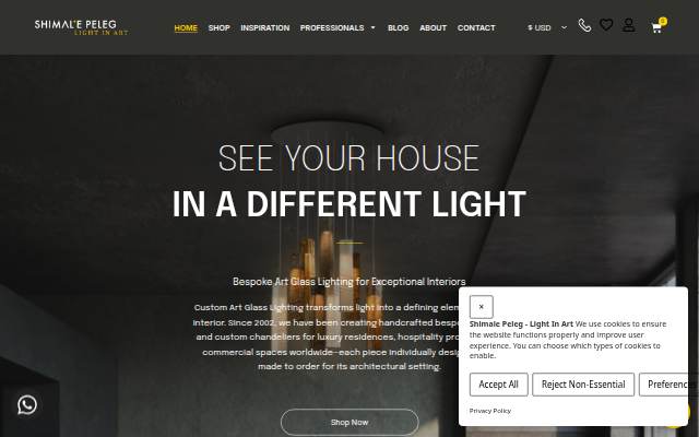 Shimale Peleg - Light In Art storefront