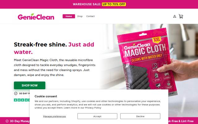 Startseite von GenieClean