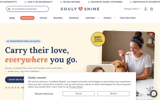 Startseite von Soulyshine
