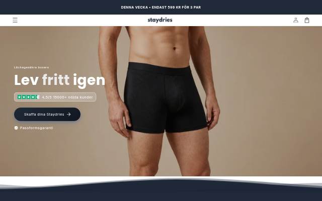 Staydries storefront
