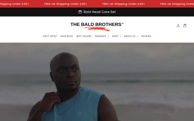 Startseite von The Bald Brothers