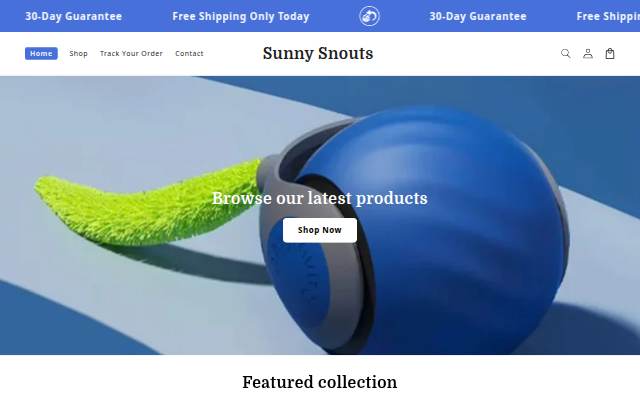 Sunny Snouts storefront