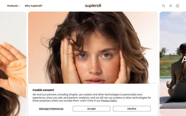 Startseite von Suplendi