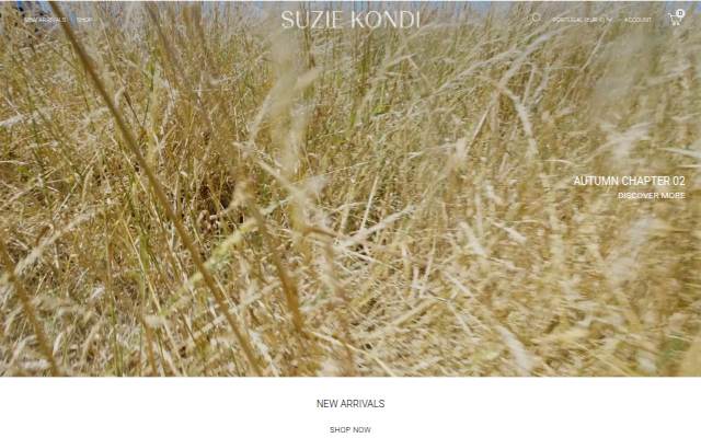 Suzie Kondi storefront