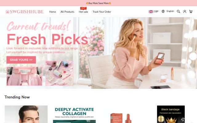 SWGIISHHUBE storefront