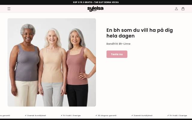 Startseite von Sylelsa