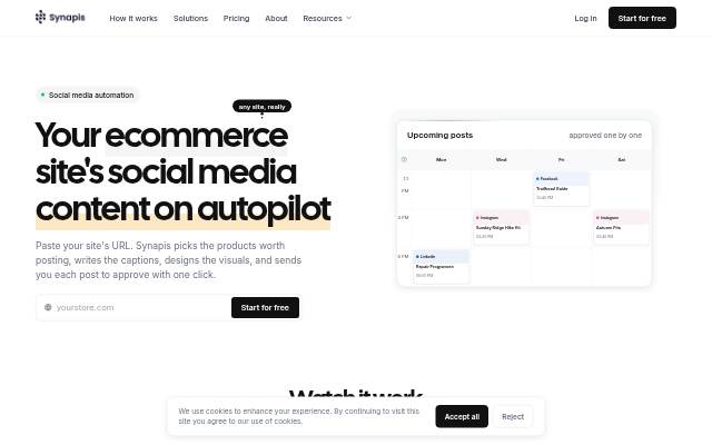 Synapis storefront