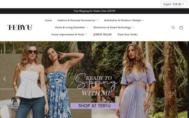 tebyu storefront