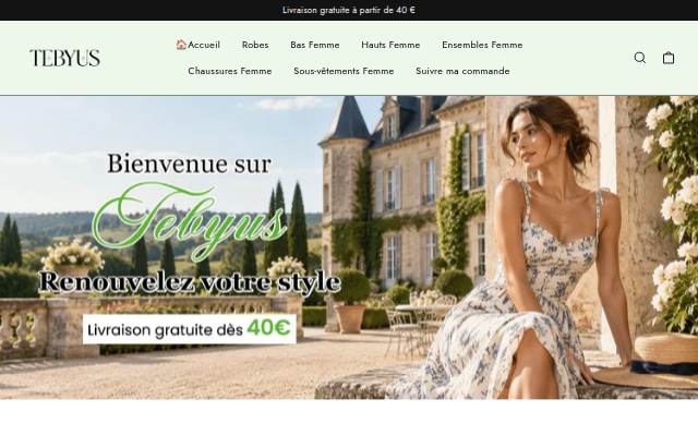 tebyus storefront