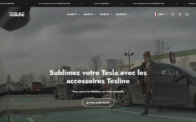 Tesline storefront