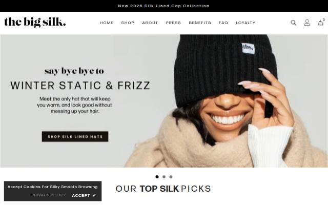 Startseite von The Big Silk