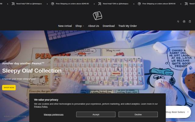 Thekapco storefront