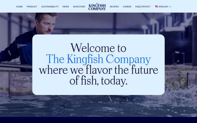 Startseite von The Kingfish Company