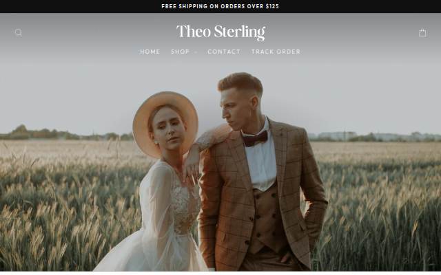 Startseite von Theo Sterling